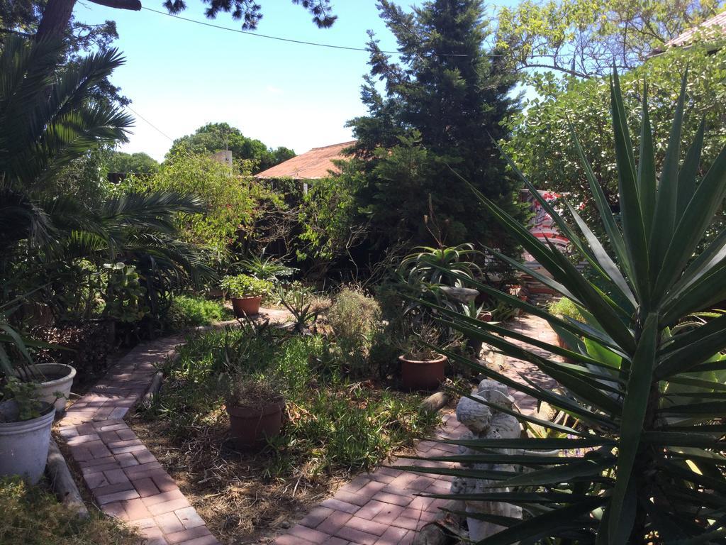 The Buddha Garden كيب تاون المظهر الخارجي الصورة
