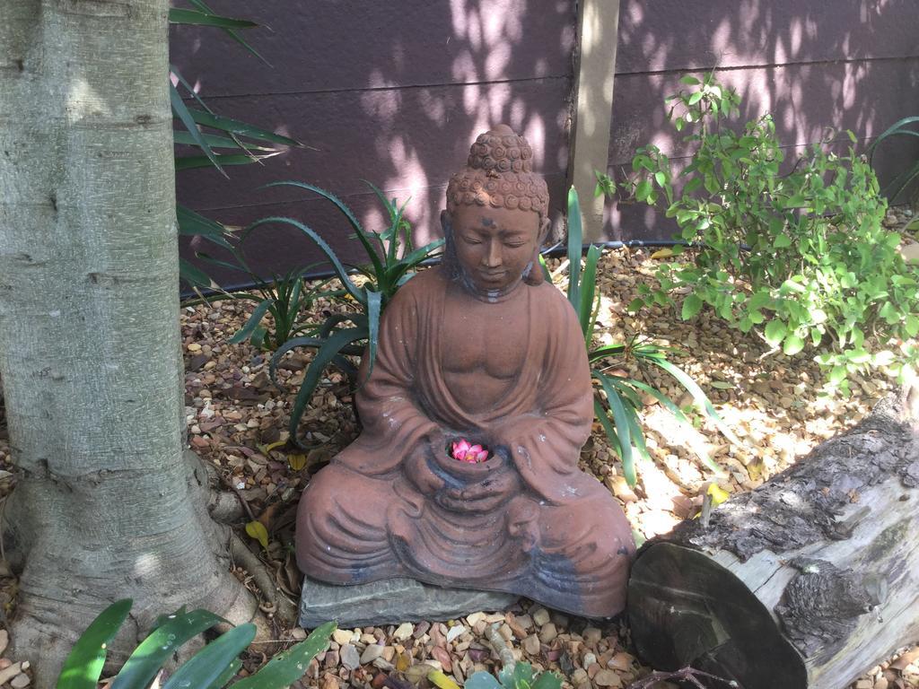 كيب تاون The Buddha Garden المظهر الخارجي الصورة