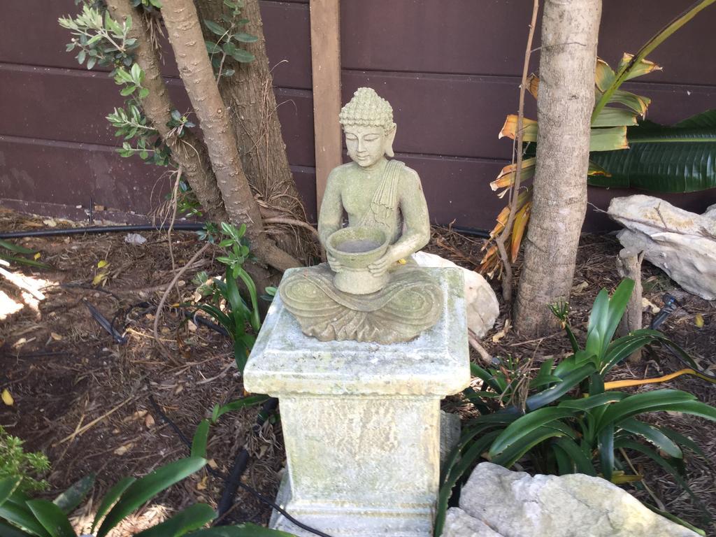 The Buddha Garden كيب تاون المظهر الخارجي الصورة