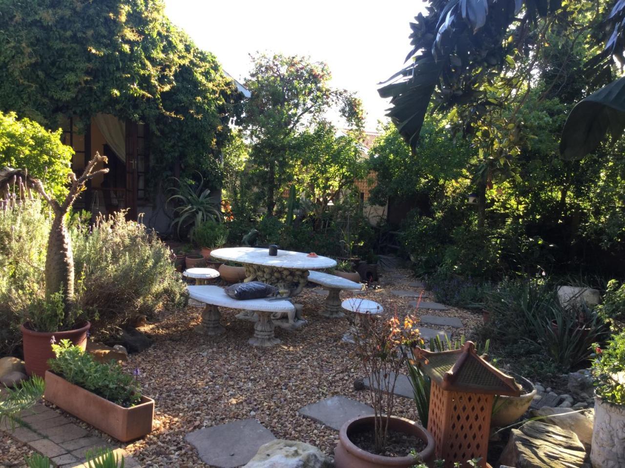 The Buddha Garden كيب تاون المظهر الخارجي الصورة